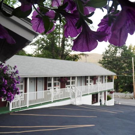 Pinebrook Motel Lake George Exterior photo